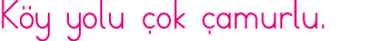 Köy yolu çok çamurlu 
