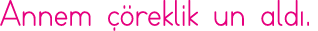 Annem çöreklik un aldı 