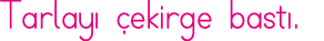 Tarlayı çekirge bastı 