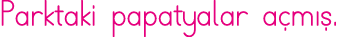 Parktaki papatyalar açmış 