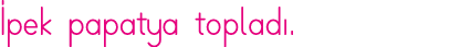 İpek papatya topladı 