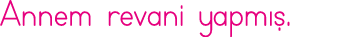 Annem revani yapmış 