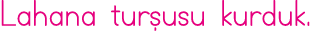 Lahana turşusu kurduk 
