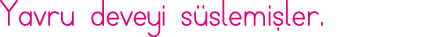 Yavru deveyi süslemişler 