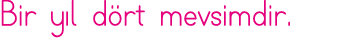 Bir yıl dört mevsimdir 