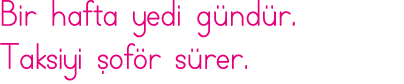 Bir hafta yedi gündür  Taksiyi şoför sürer 