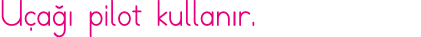 Uçağı pilot kullanır 