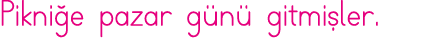 Pikniğe pazar günü gitmişler 