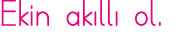 Ekin akıllı ol 