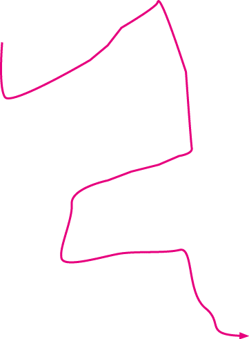 Polygon