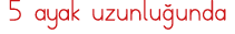 5 ayak uzunluğunda