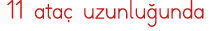 11 ataç uzunluğunda