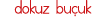 dokuz buçuk